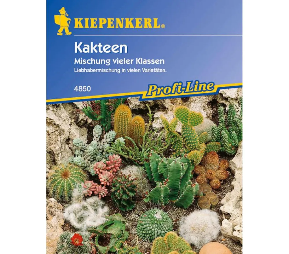 Nebelung/Kiepenkerl Kiepenkerl Samen Kakteen Sale