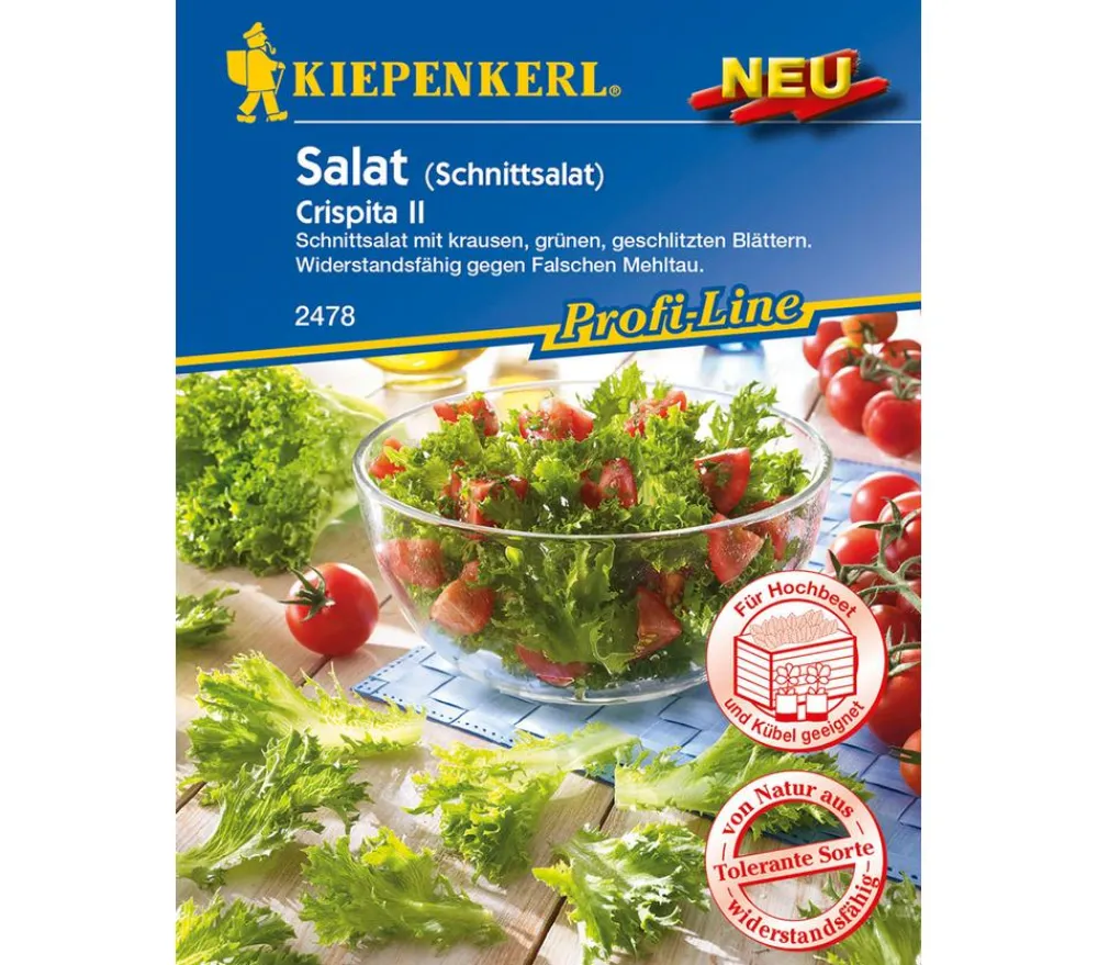 Nebelung/Kiepenkerl Kiepenkerl Samen Salat 'Crispita II'