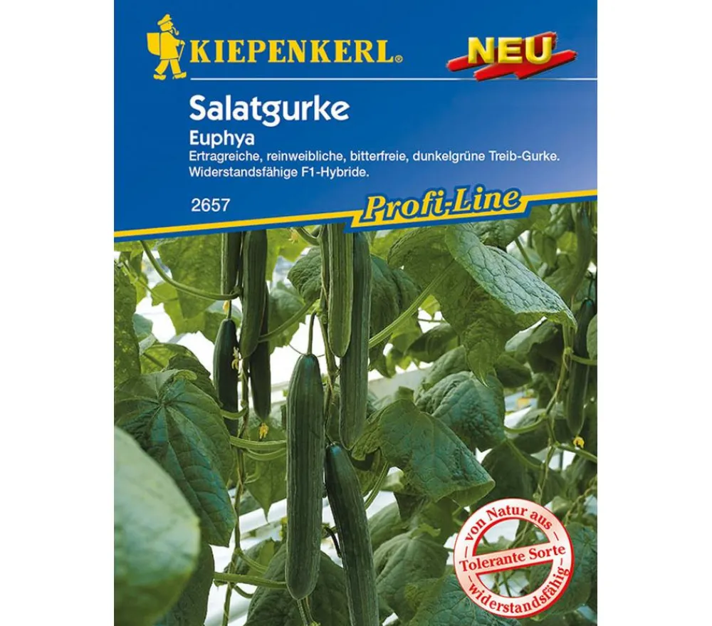 Nebelung/Kiepenkerl Kiepenkerl Samen Salatgurke 'Euphya' Dunkelgrün Outlet