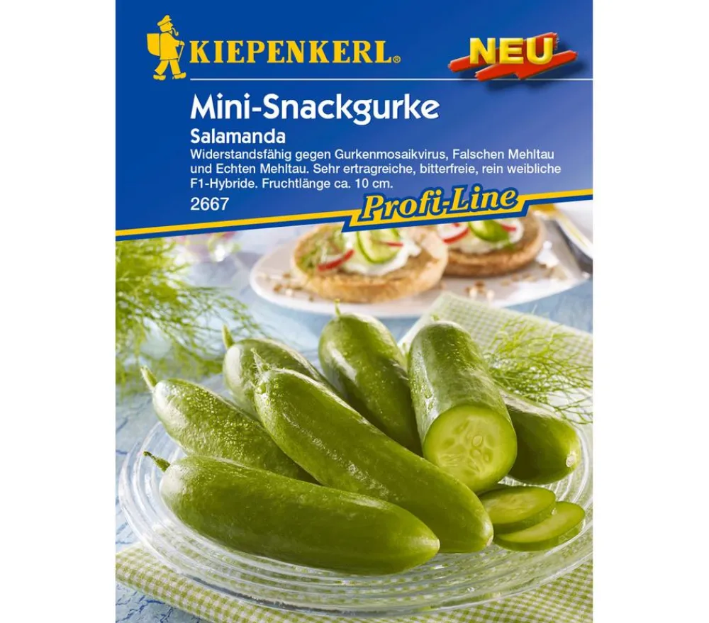 Nebelung/Kiepenkerl Kiepenkerl Samen Salatgurke 'Salamanda' Grün Best