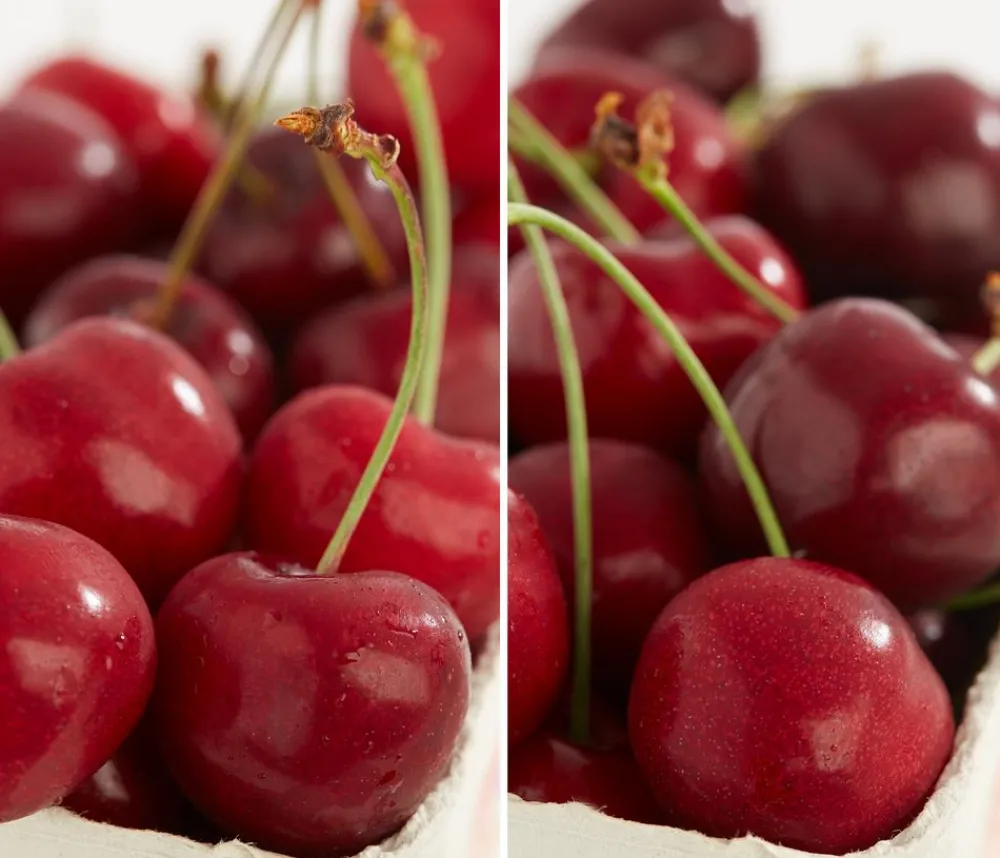 Dehner Obstbäume|Kirschbäume - Kirschen-Duo 'Sunburst/Burlat' Rot