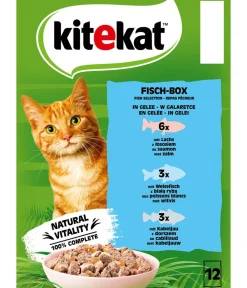 Kitekat® Nassfutter Katze > Nassfutter für Katzen Multipack Fisch-Box in Gelee, Adult, 12 x 85 g