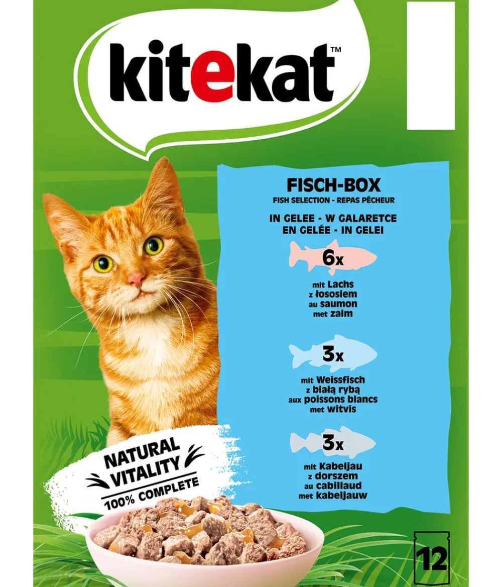Kitekat® Nassfutter Katze > Nassfutter für Katzen Multipack Fisch-Box in Gelee, Adult, 12 x 85 g