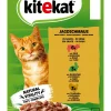 Kitekat® Nassfutter für Katzen Multipack Jagdschmaus in Sauce, Adult, 12 x 85 g Best