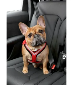 kleinmetall® Mehr Transport & Unterwegs|Hundehalsbänder & Geschirre > Hundeicherheitgurt Aafe Cofort