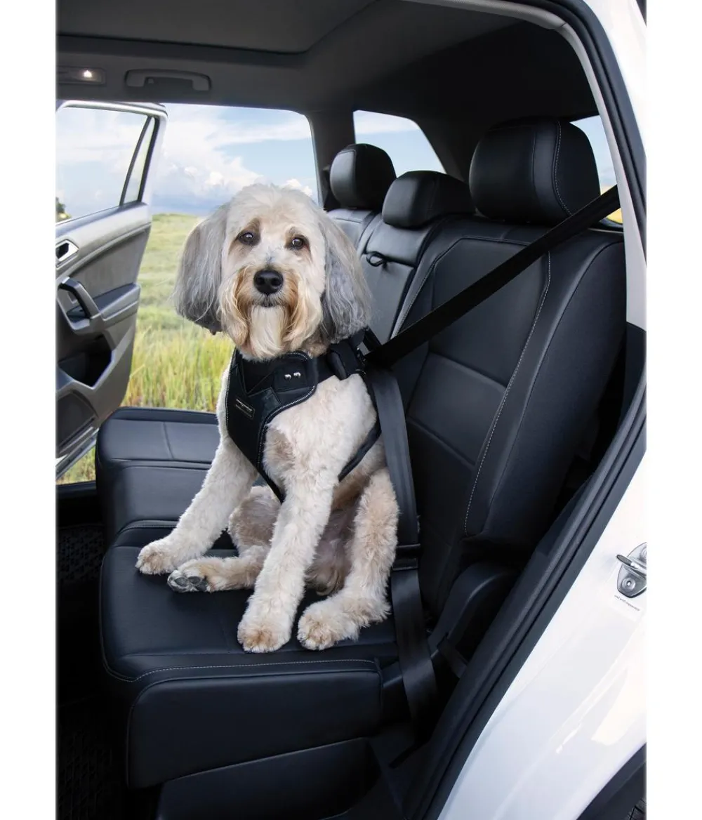 kleinmetall® Hundeicherheitgurt Dogater 2.0 Schwarz Online