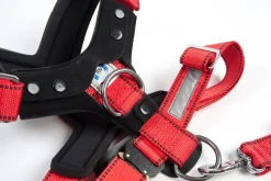 kleinmetall® Hundeicherheitgurt Aafe Cofort Rot Discount