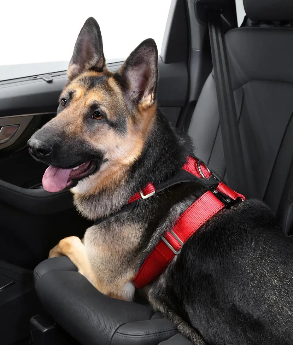 kleinmetall® Mehr Transport & Unterwegs|Hundehalsbänder & Geschirre - Hundeicherheitgurt Aafe Cofort Rot