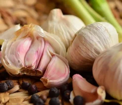 Dehner Gartengemüse - Knoblauch, 6er Schale Weiß