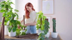 Kratiste Mehr Blumentopfzubehör > Kletterstange