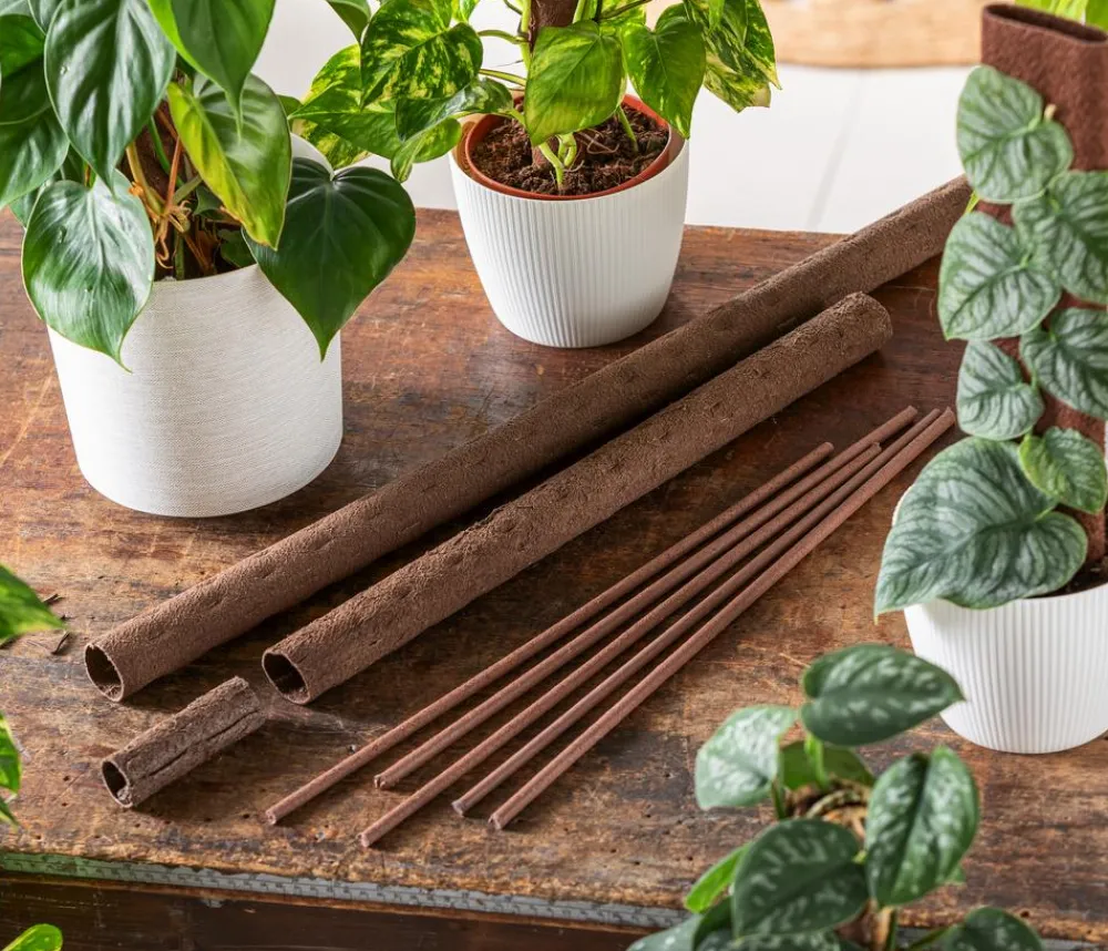 Kratiste Mehr Blumentopfzubehör - Kletterstange Braun
