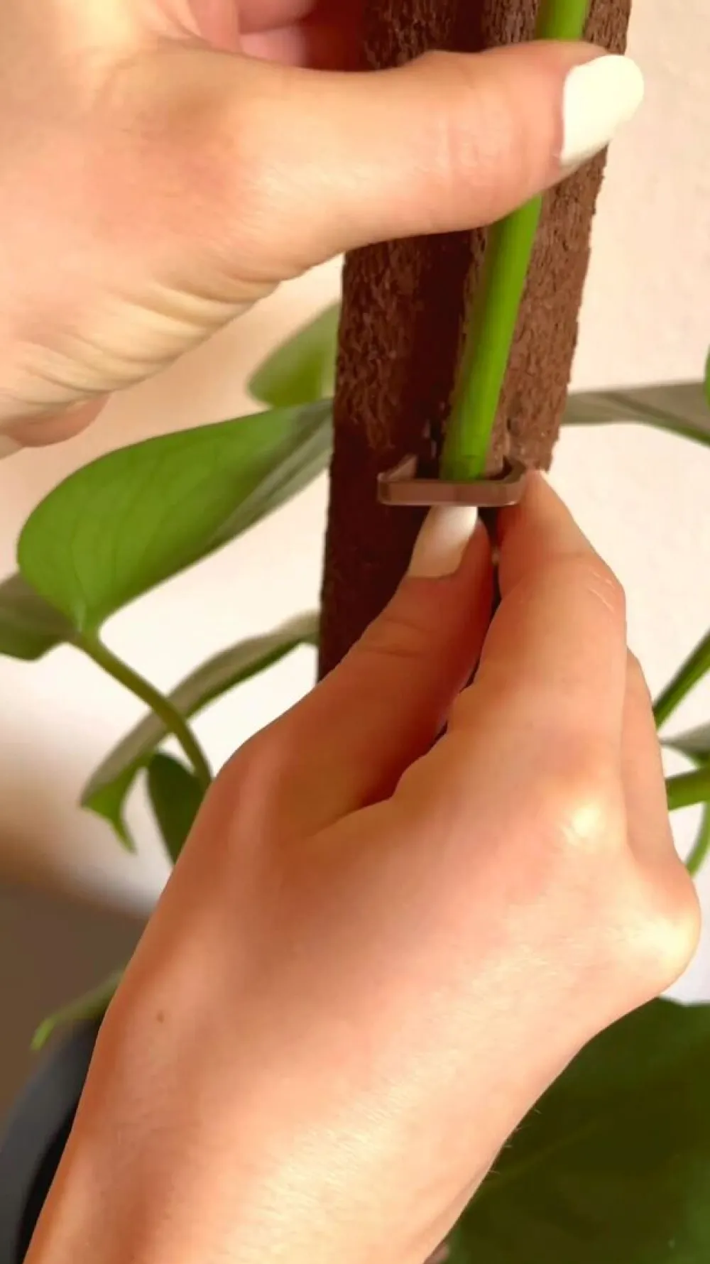 Kratiste Mehr Blumentopfzubehör - Kletterstange Braun