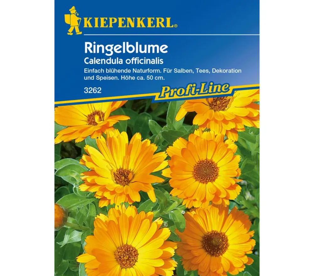 Nebelung/Kiepenkerl Blumensamen > Kräuter-Ringelblumen, Saatgut von Kiepenkerl