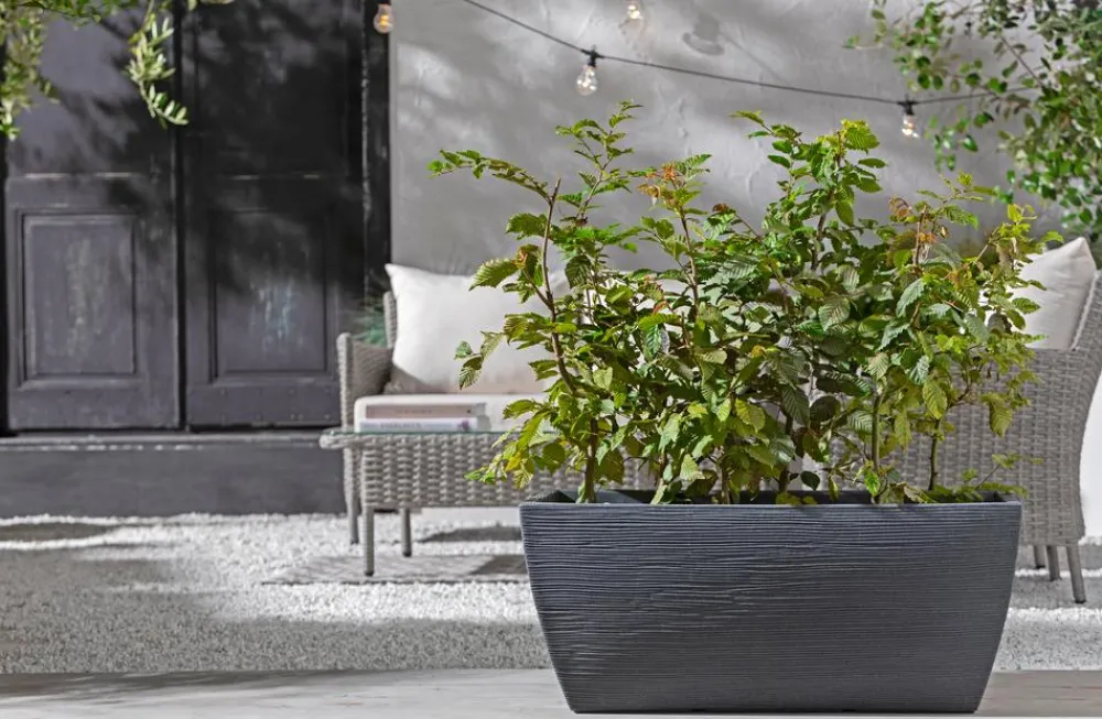 Dehner Pflanzkübel & Blumenkästen > Kunststoff-Pflanzkasten Rille, ca. B80/H34/T40 cm, anthrazit