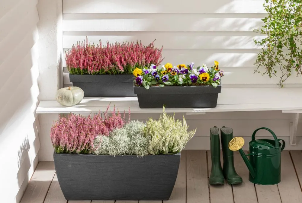 Dehner Pflanzkübel & Blumenkästen > Kunststoff-Pflanzkasten Rille, ca. B80/H34/T40 cm, anthrazit