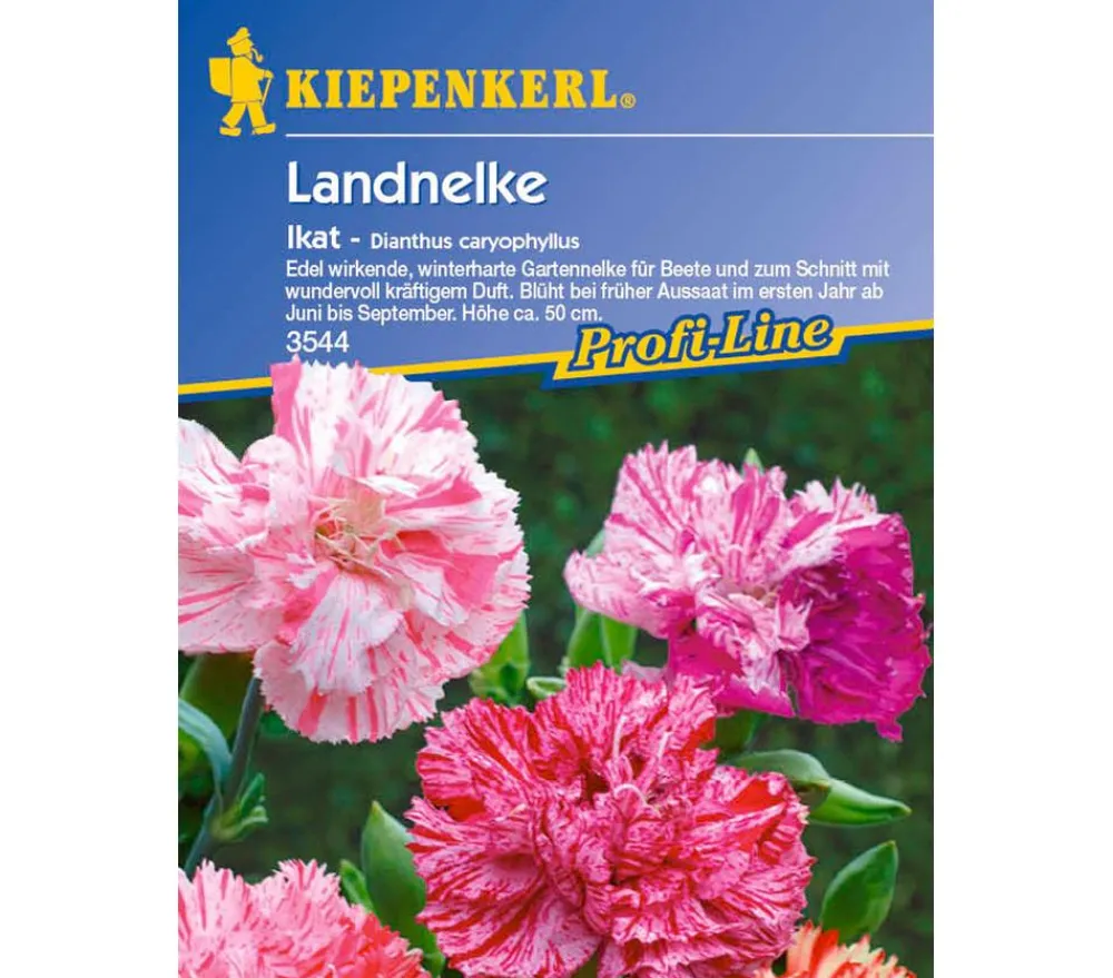 Nebelung/Kiepenkerl Blumensamen - Landnelke Ikat, Saatgut von Kiepenkerl