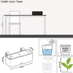 LECHUZA® Lechuza Pflanzgefäße & Töpfe > BALCONISSIMA Color, All-in-One-Set, ca. B40/H14/T14 cm