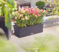 LECHUZA® BALCONISSIMA Color, All-in-One-Set, ca. B40/H14/T14 cm Dunkelgrau Clearance