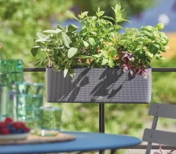 LECHUZA® BALCONISSIMA Color, All-in-One-Set, ca. B40/H14/T14 cm Dunkelgrau Clearance