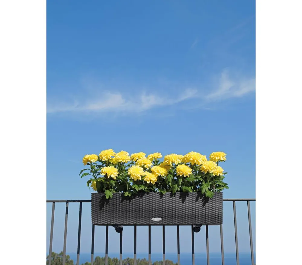 LECHUZA® Mehr Blumentopfzubehör - Balkonkastenhalter Schwarz
