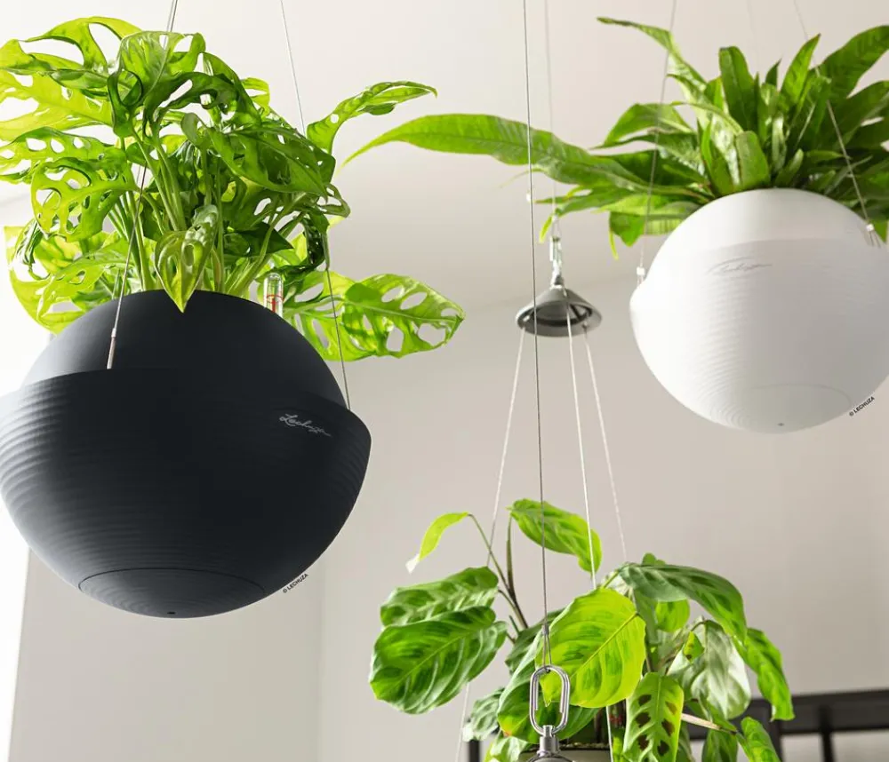 LECHUZA® Lechuza Pflanzgefäße & Töpfe|Blumenampeln & -Schalen > BOLA Color, All-in-One Set