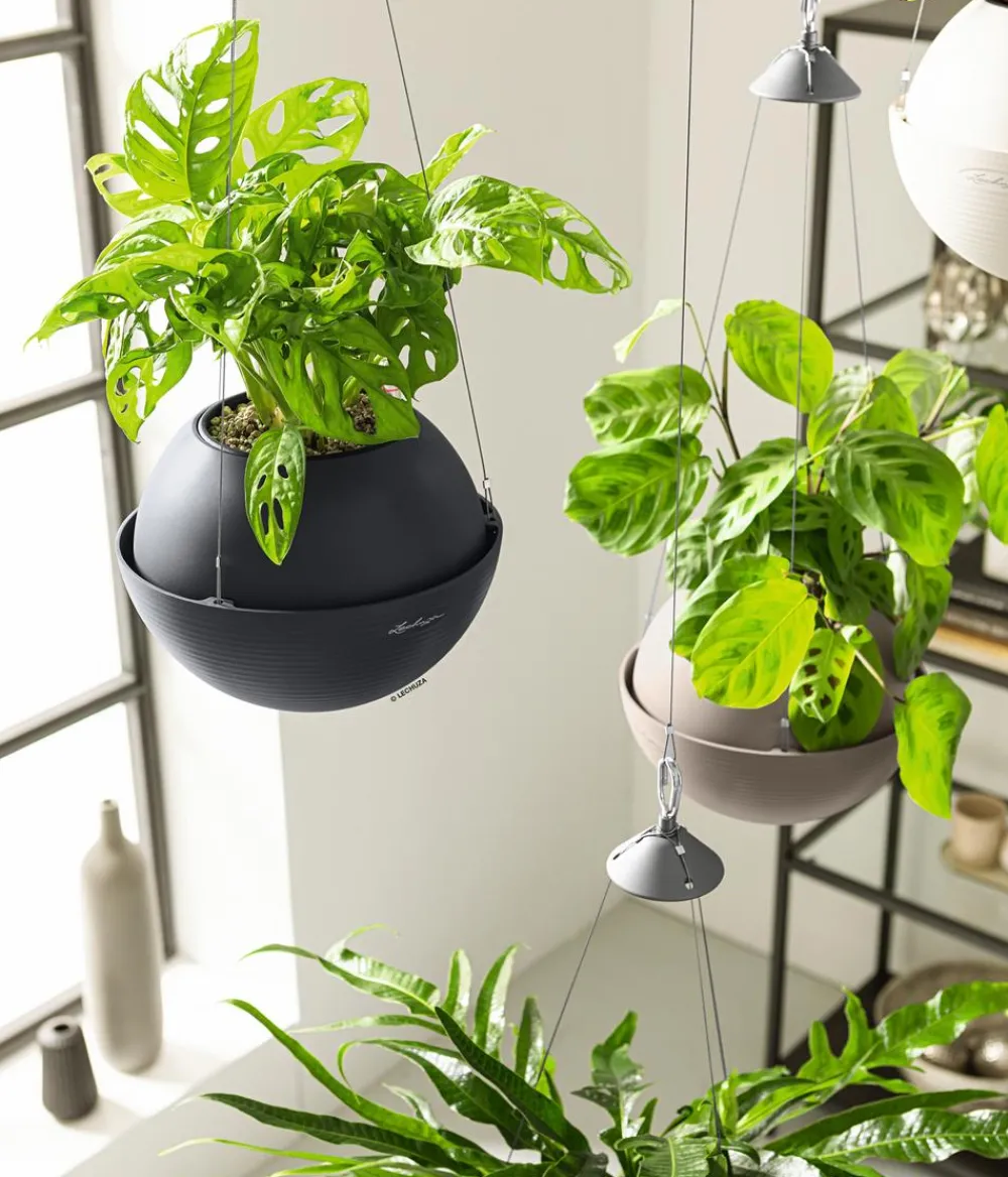 LECHUZA® Lechuza Pflanzgefäße & Töpfe|Blumenampeln & -Schalen > BOLA Color, All-in-One Set