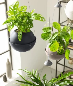 LECHUZA® Lechuza Pflanzgefäße & Töpfe|Blumenampeln & -Schalen - BOLA Color, All-in-One Set Dunkelgrau