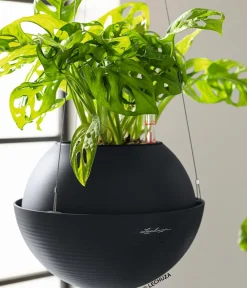 LECHUZA® Lechuza Pflanzgefäße & Töpfe|Blumenampeln & -Schalen - BOLA Color, All-in-One Set Dunkelgrau