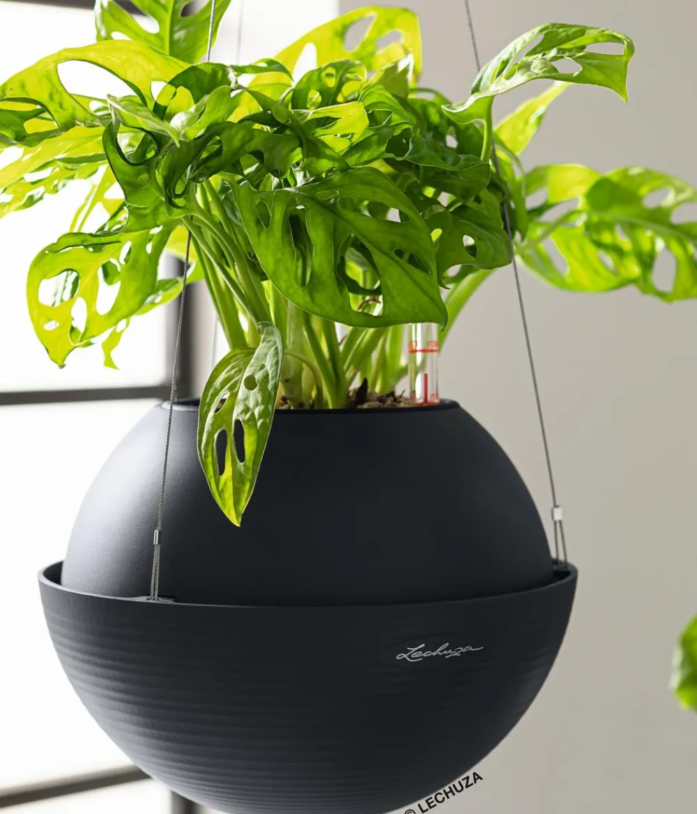LECHUZA® Lechuza Pflanzgefäße & Töpfe|Blumenampeln & -Schalen - BOLA Color, All-in-One Set Dunkelgrau