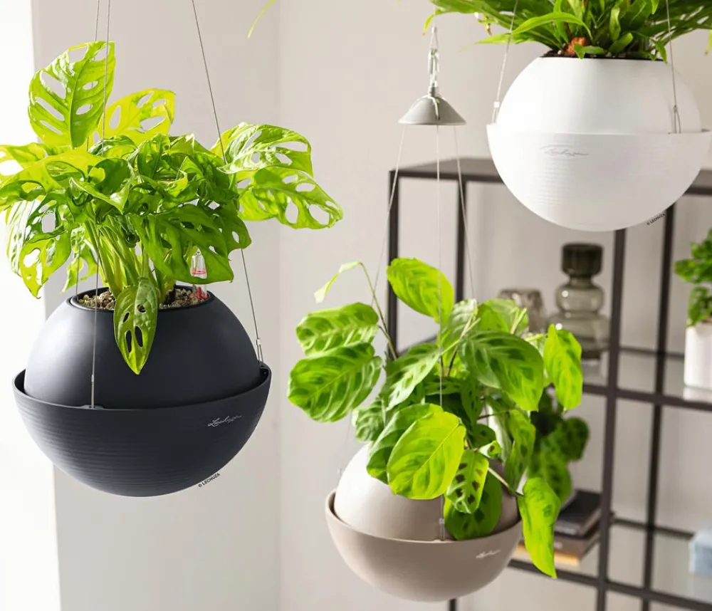 LECHUZA® Lechuza Pflanzgefäße & Töpfe|Blumenampeln & -Schalen - BOLA Color, All-in-One Set Dunkelgrau