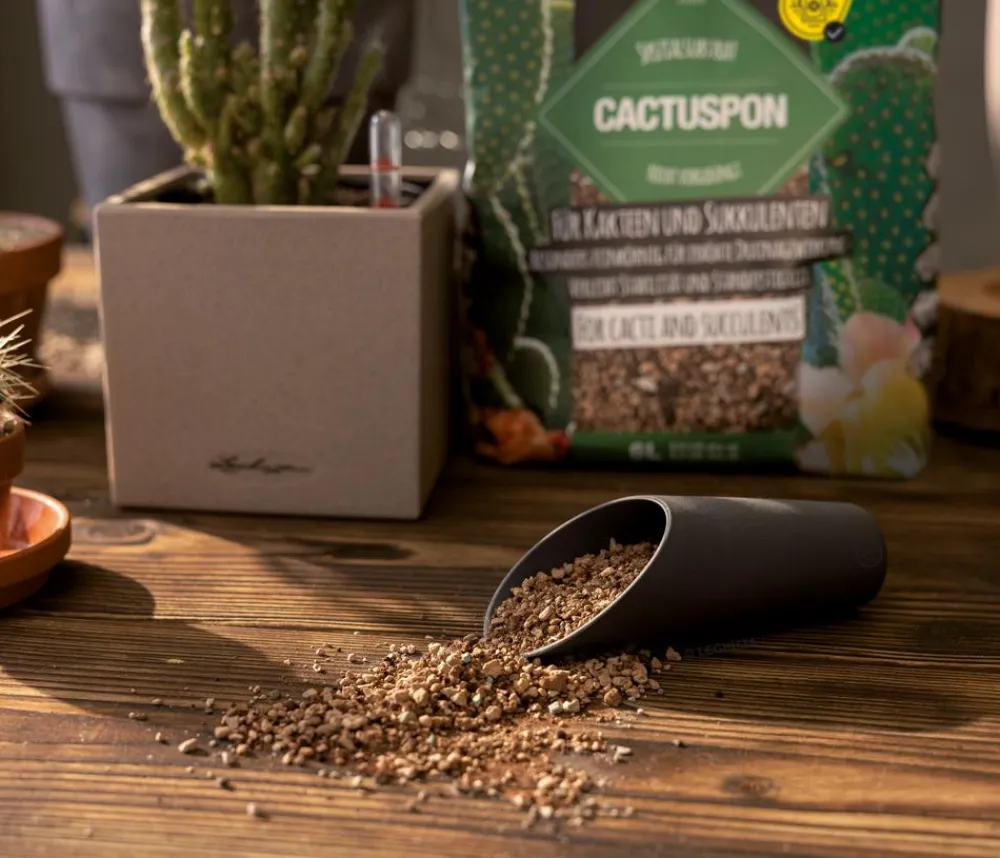 LECHUZA® CACTUSPON Pflanzsubstrat Sale