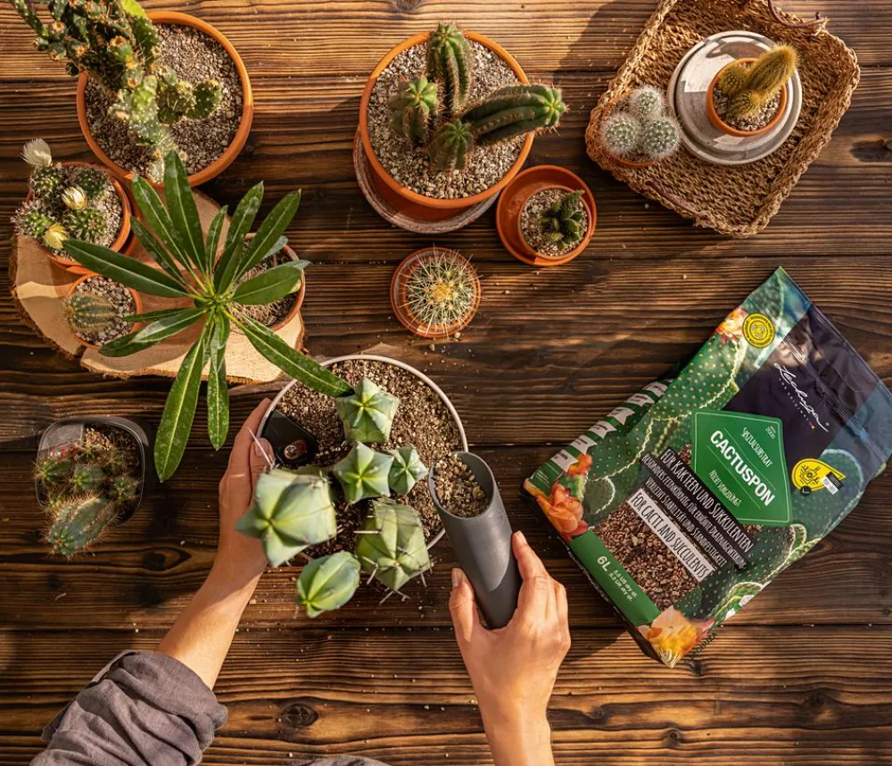 LECHUZA® CACTUSPON Pflanzsubstrat Sale