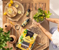 LECHUZA® Spezialerde > CITRUSPON Spezialsubstrat