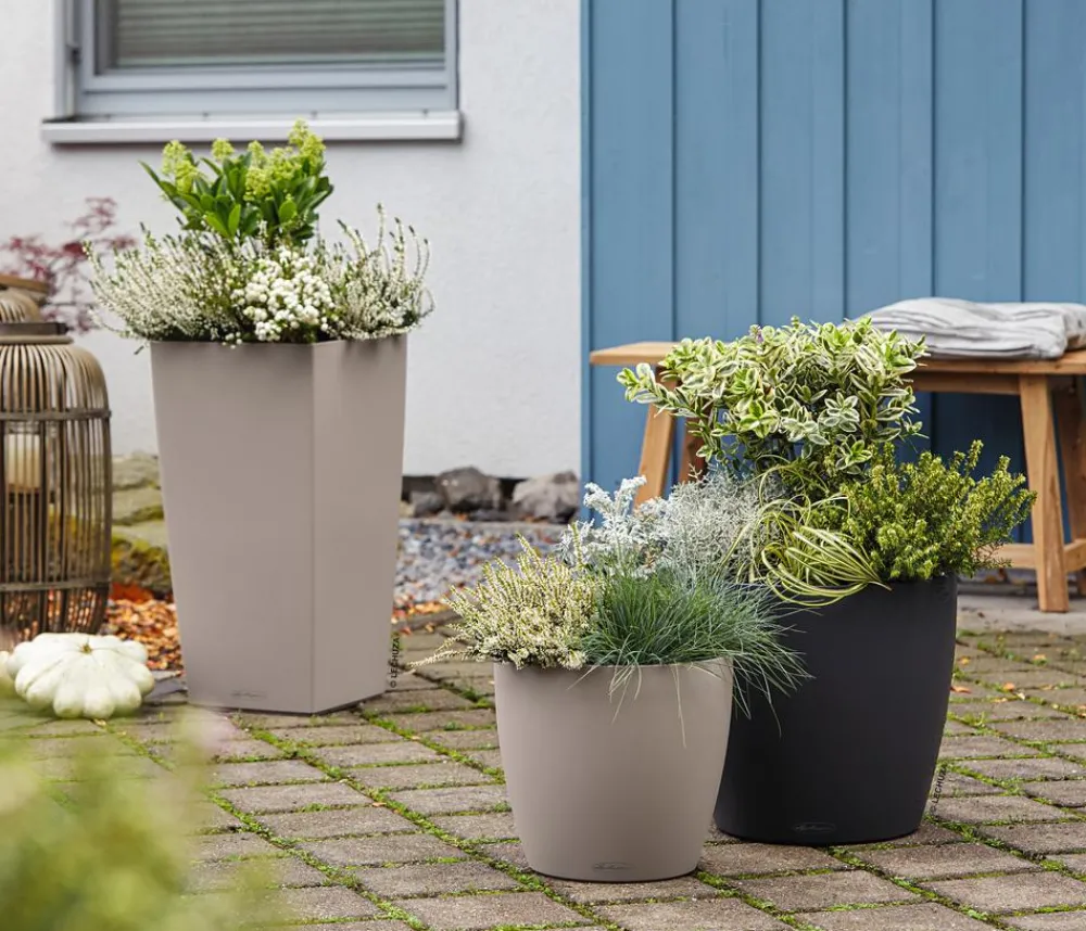 LECHUZA® Lechuza Pflanzgefäße & Töpfe|Blumentöpfe & Übertöpfe > CLASSICO Color, All-in-One-Set