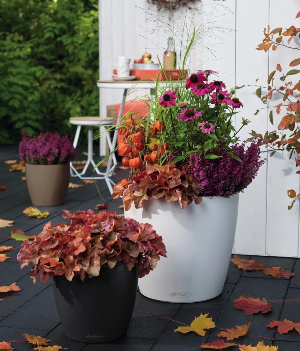 LECHUZA® Lechuza Pflanzgefäße & Töpfe|Blumentöpfe & Übertöpfe > CLASSICO Color, All-in-One-Set