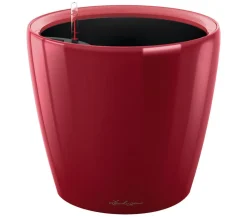 LECHUZA® Lechuza Pflanzgefäße & Töpfe|Lechuza Tischgefäße > CLASSICO LS, All-in-One-Set