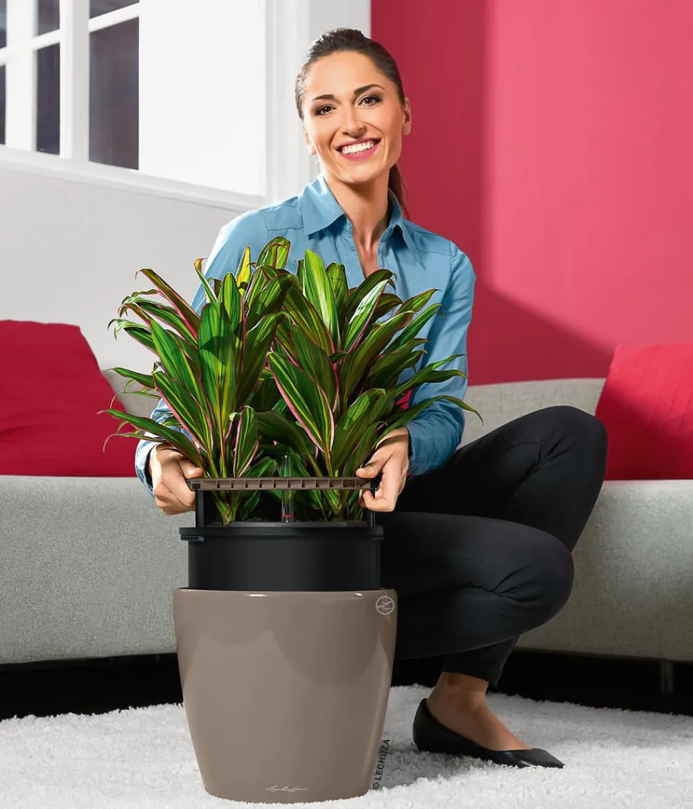 LECHUZA® Lechuza Pflanzgefäße & Töpfe|Lechuza Tischgefäße > CLASSICO LS, All-in-One-Set