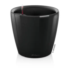 LECHUZA® CLASSICO LS, All-in-One-Set Schwarz New