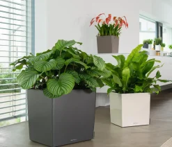 LECHUZA® Lechuza Tischgefäße|Lechuza Pflanzgefäße & Töpfe > CUBE, All-in-One Set
