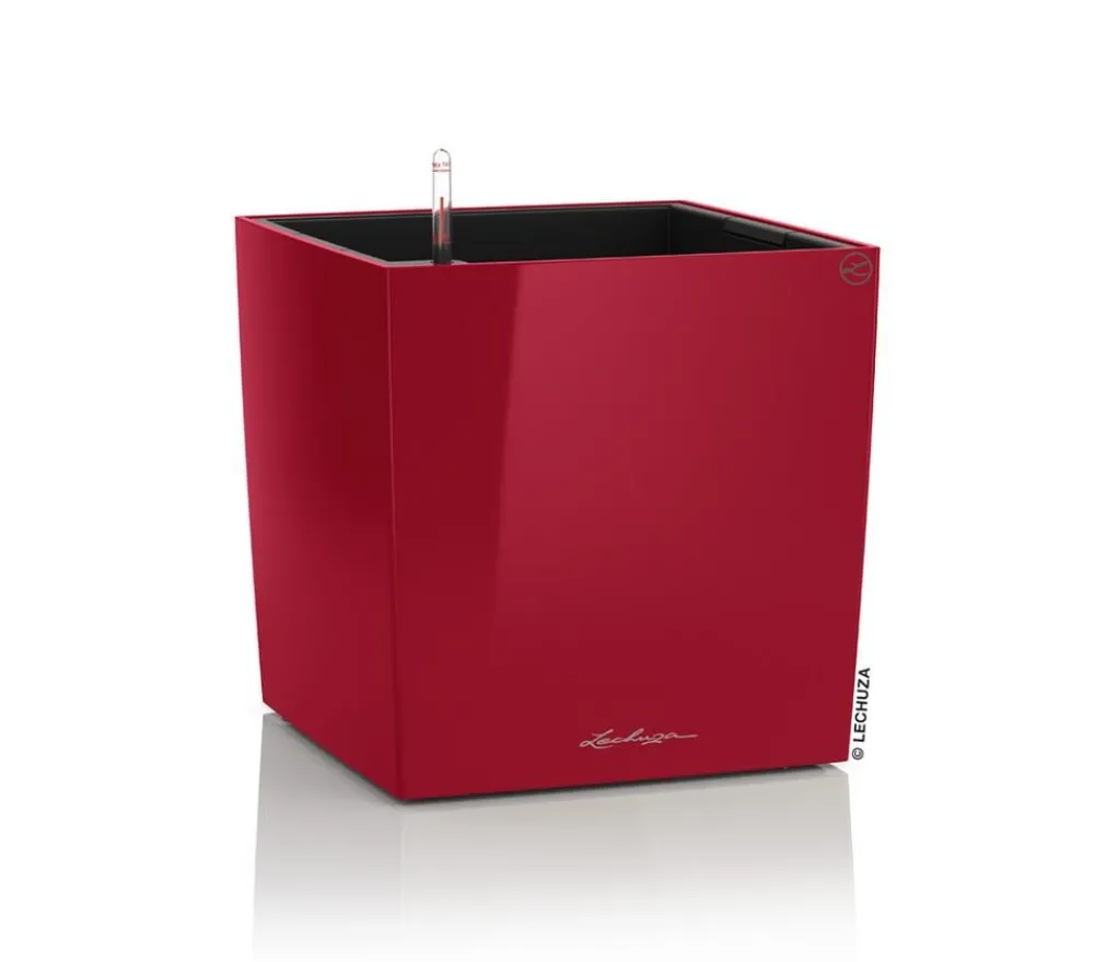LECHUZA® CUBE, All-in-One Set Dunkelrot Best