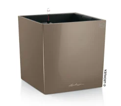 LECHUZA® CUBE, All-in-One Set Taupe Best