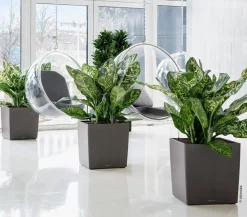 LECHUZA® Lechuza Tischgefäße|Lechuza Pflanzgefäße & Töpfe - CUBE, All-in-One Set Dunkelgrau