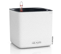 LECHUZA® CUBE Color, All-in-One Set Weiß Outlet