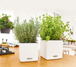 LECHUZA® CUBE Color, All-in-One Set Weiß Outlet