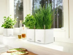 LECHUZA® Lechuza Tischgefäße|Lechuza Pflanzgefäße & Töpfe - CUBE Color, All-in-One Set Weiß