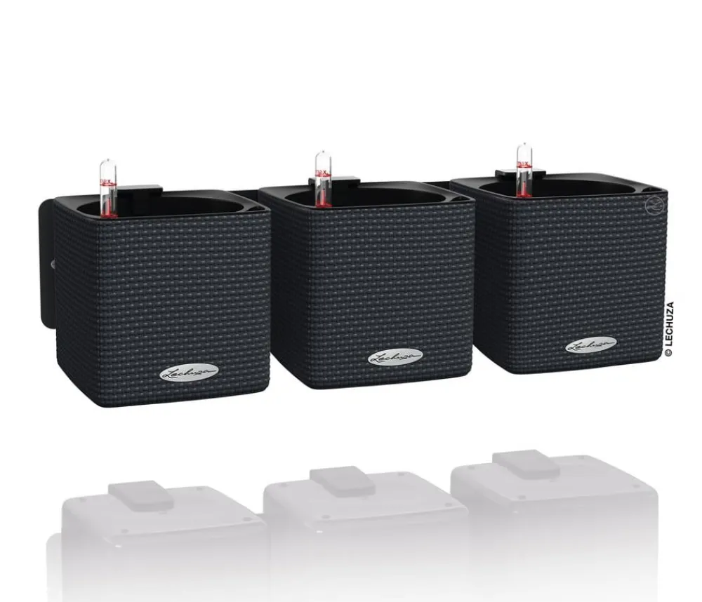 LECHUZA® Lechuza Pflanzgefäße & Töpfe > CUBE Color Green Wall Home Kit, ca. B48/H14/T15 cm