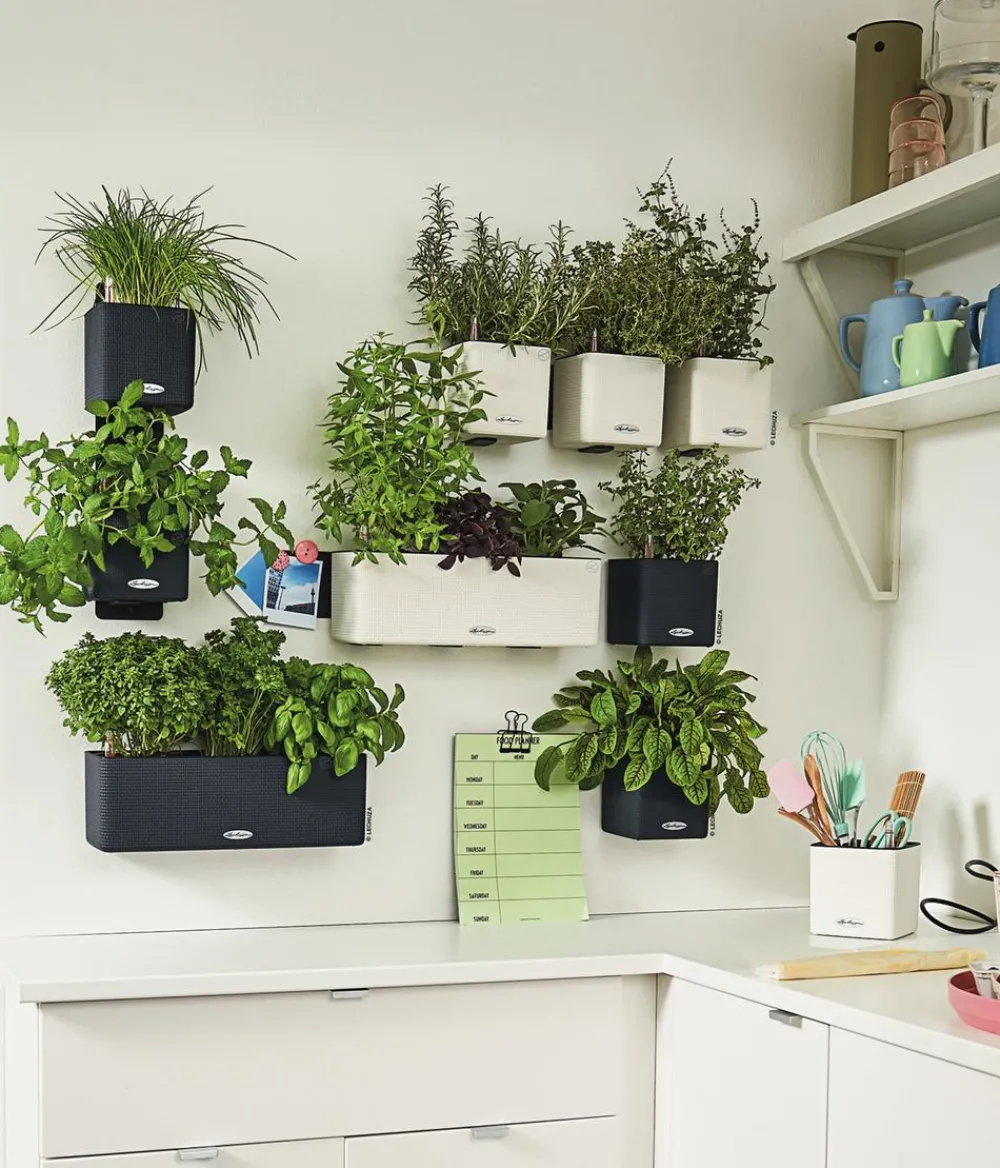 LECHUZA® Lechuza Pflanzgefäße & Töpfe > CUBE Color Green Wall Home Kit, ca. B48/H14/T15 cm