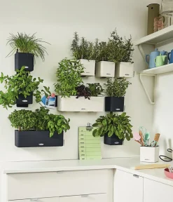 LECHUZA® Lechuza Pflanzgefäße & Töpfe - CUBE Color Green Wall Home Kit, ca. B48/H14/T15 cm Weiß