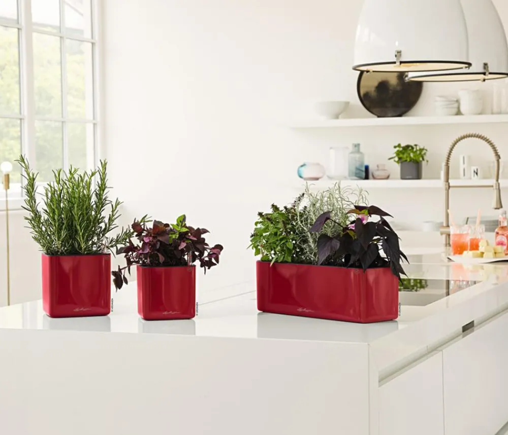 LECHUZA® Lechuza Pflanzgefäße & Töpfe > CUBE Glossy Triple, All-in-One Set, 40 cm