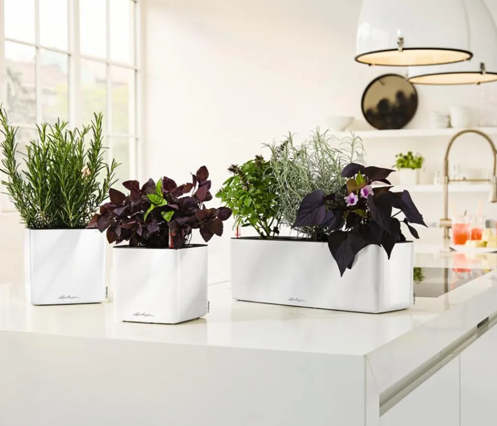 LECHUZA® CUBE Glossy Triple, All-in-One Set, 40 cm Weiß Online